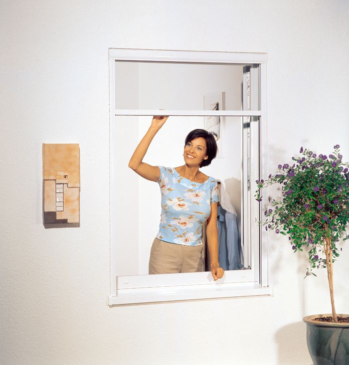 Rollo Fenster